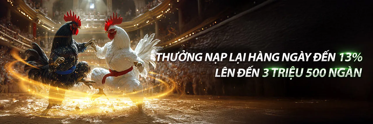 Đá gà trực tuyến KU88